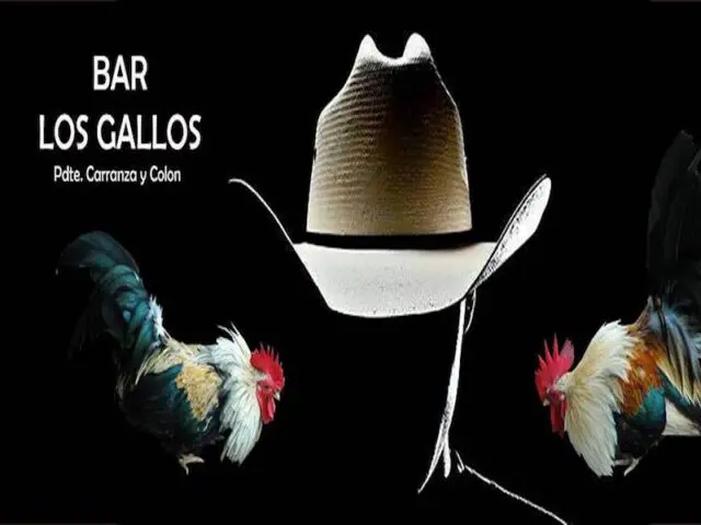 Bar Los Gallos