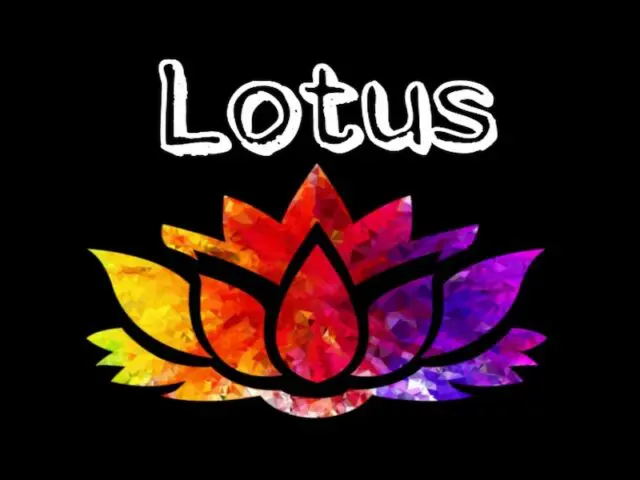 Lotus Bar