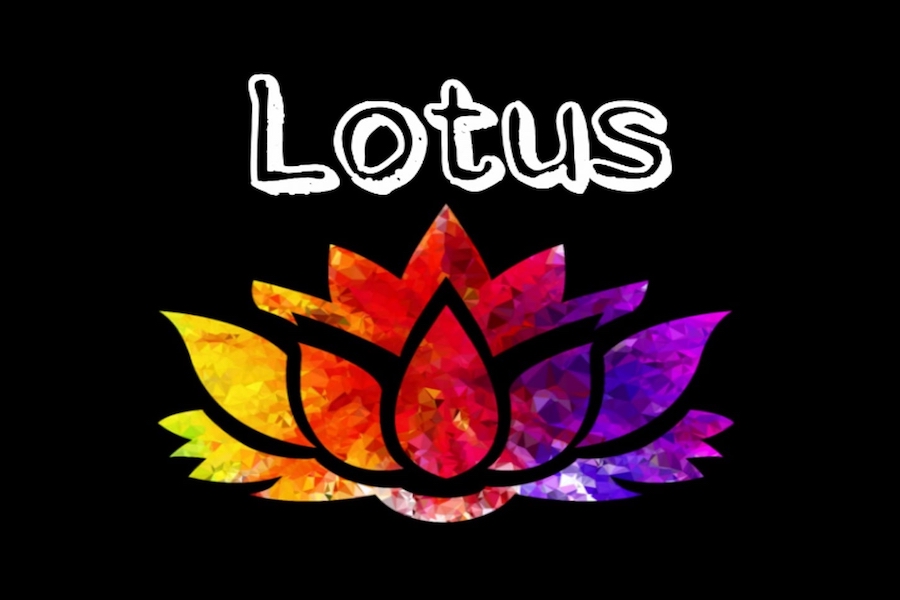 Lotus Bar